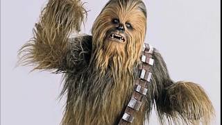 Chewbacca Noise [upl. by Greenebaum]