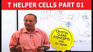 T Helper Cells  Immunology  Part 110 [upl. by Nylirad]