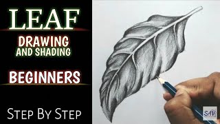 HOW TO DRAW AND SHADE A LEAF  Step By Step [upl. by Dalia]