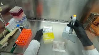 Cytotoxicity Assay [upl. by Neetsirk]