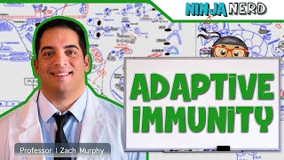 Immunology  Adaptive Immunity [upl. by Saltzman482]