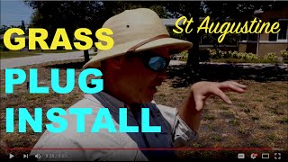 How To Install St Augustine Grass Plugs [upl. by Walden]