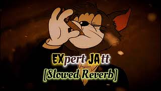 Expert Jatt Slowed Reverb Nawab [upl. by Jeniece20]