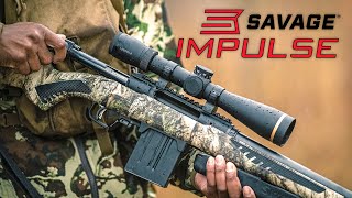 Savage Impulse StraightPull rifle [upl. by Colline]