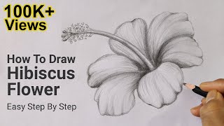 How To Draw Hibiscus Flower Easy Step By Step  Drawing Lesson 6  Pencil Sketch [upl. by Rimisac]