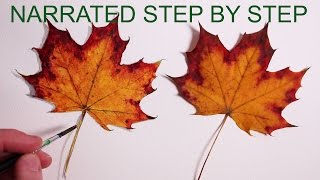 How to Draw a Leaf Narrated Step by Step [upl. by Atirahc761]