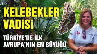 KELEBEKLERİN YUVASINA GİRDİK  Tropikal Kelebekler Vadisi  Konya Turkey [upl. by Idham664]