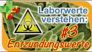 Laborwerte verstehen 3 Entzündungswerte [upl. by Mccoy]