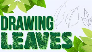 Drawing Basics  Easy Way To Draw A Leaf [upl. by Sixele273]