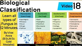 Types of fungus classification of fungiphycomycetesascomycetesbasidiomycetesdeuteromycetesNEET [upl. by Noryt]