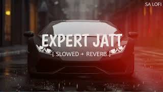 EXPERT JATT  Slowed  Reverb   NAWAB [upl. by Kyd693]