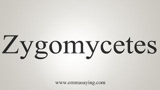 How To Say Zygomycetes [upl. by Neala]