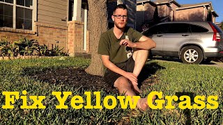 How to Fix Yellowing St Augustine Grass [upl. by Eicrad]