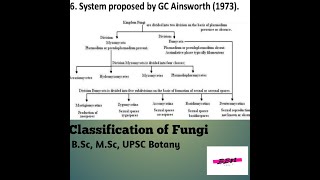 Classification of Fungi BSc MSc UPSC Botany [upl. by Anaerdna689]