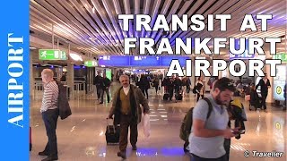 TRANSIT WALK AT FRANKFURT Airport FRA Terminal 1  Connection Flight Transfer Arriving amp Departing [upl. by Palestine]