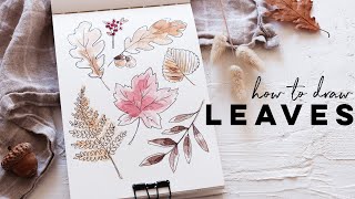 How To Draw Autumn Leaves  Fun Beginner Illustration [upl. by Baiss]